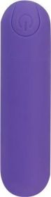 Essential Power Bullet Vibrator Purple